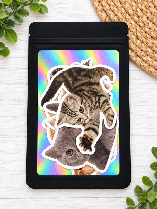 5-Count Large Cat Sticker Pack