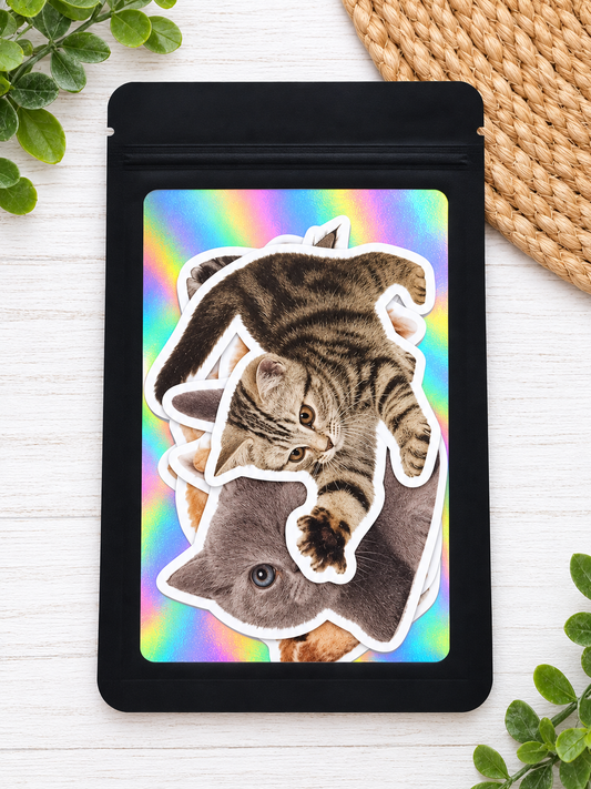 5-Count Large Cat Sticker Pack